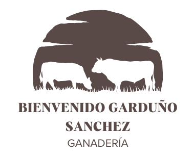 BIENVENIDO GARDUÑO SANCHEZ LOGO
